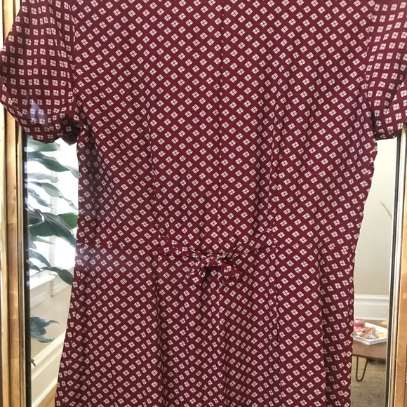 Collared Dress - Picture 3 of 4